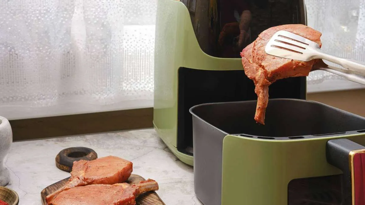 Airfryers: det tillverkarna helst tiger om – det här bör du känna till