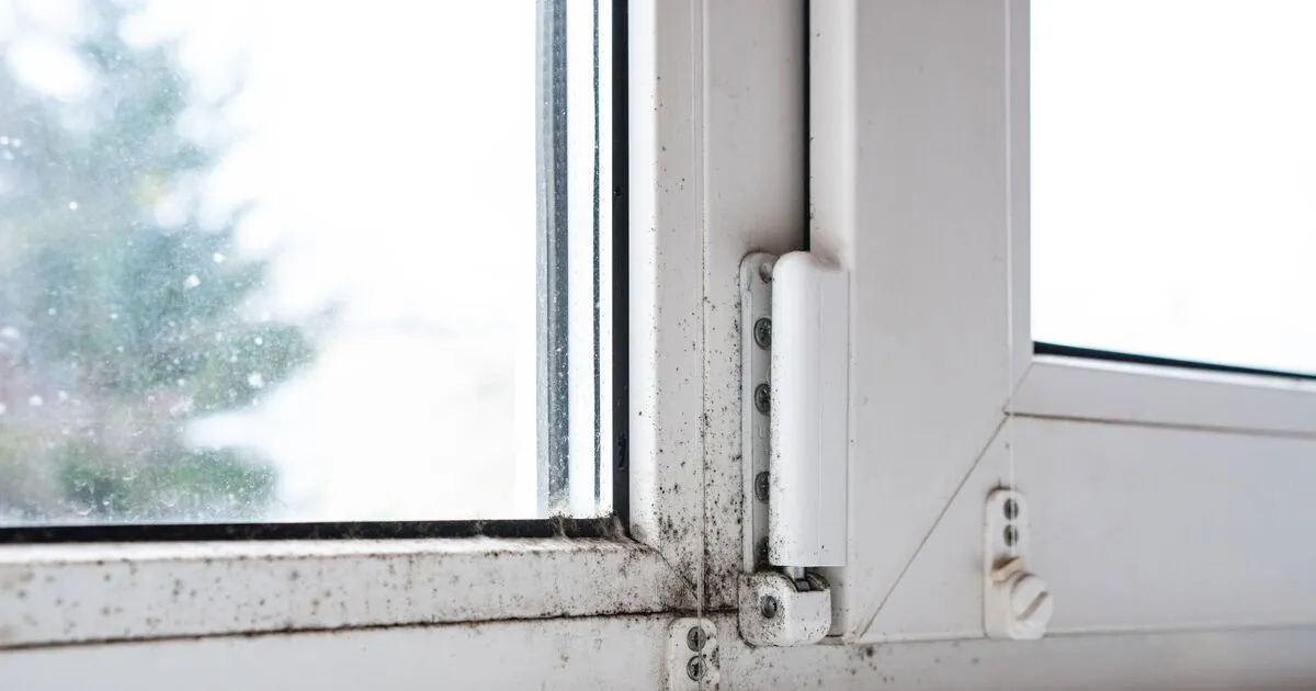 Så kan britterna hantera kondensation under en kall vinter