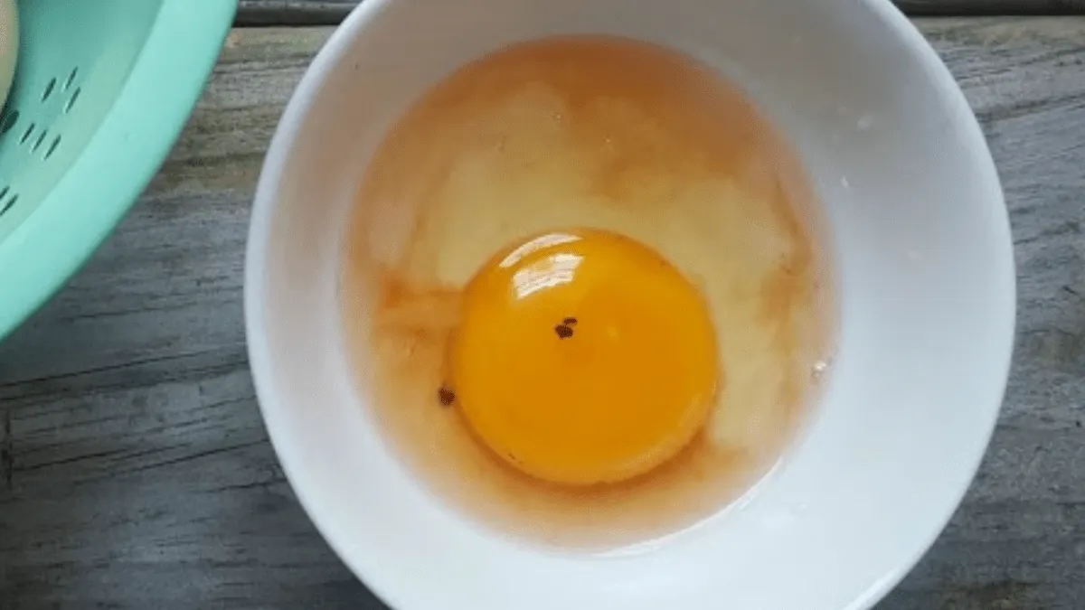 Röda fläckar i ägg — vad betyder det och vad gör man?