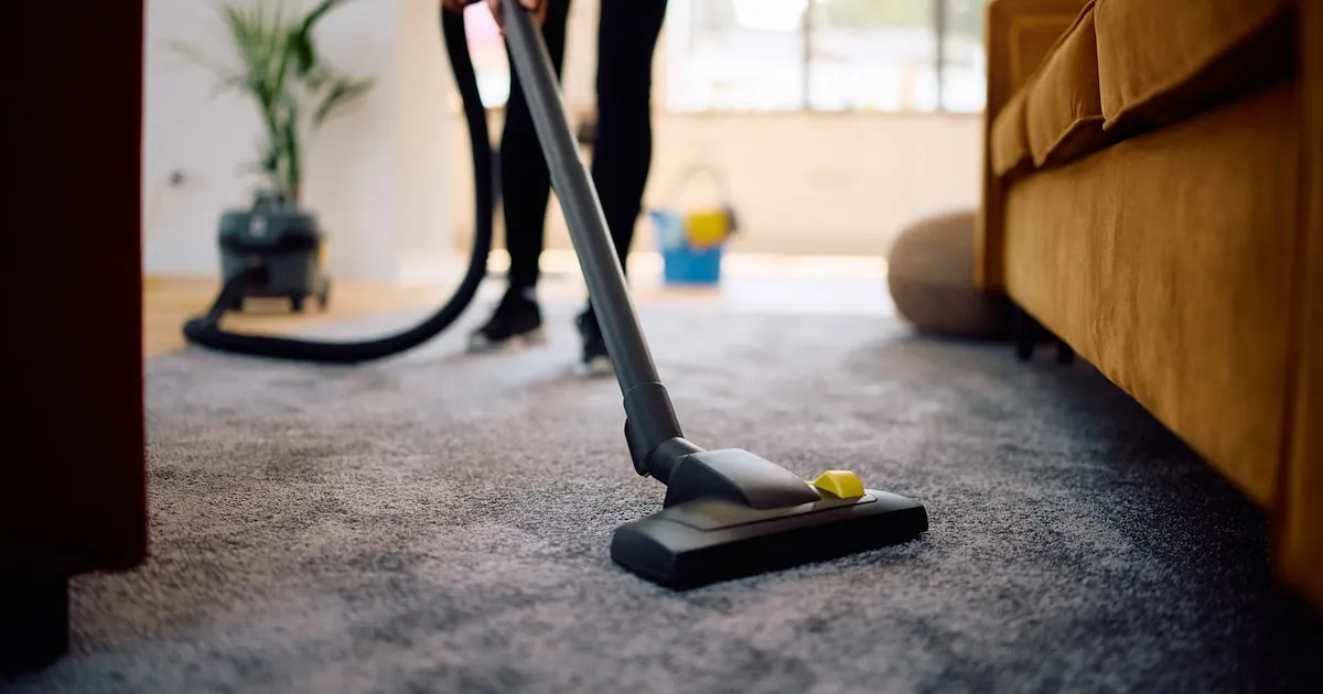 Städerskans vardag – utmaningar och glädjeämnen