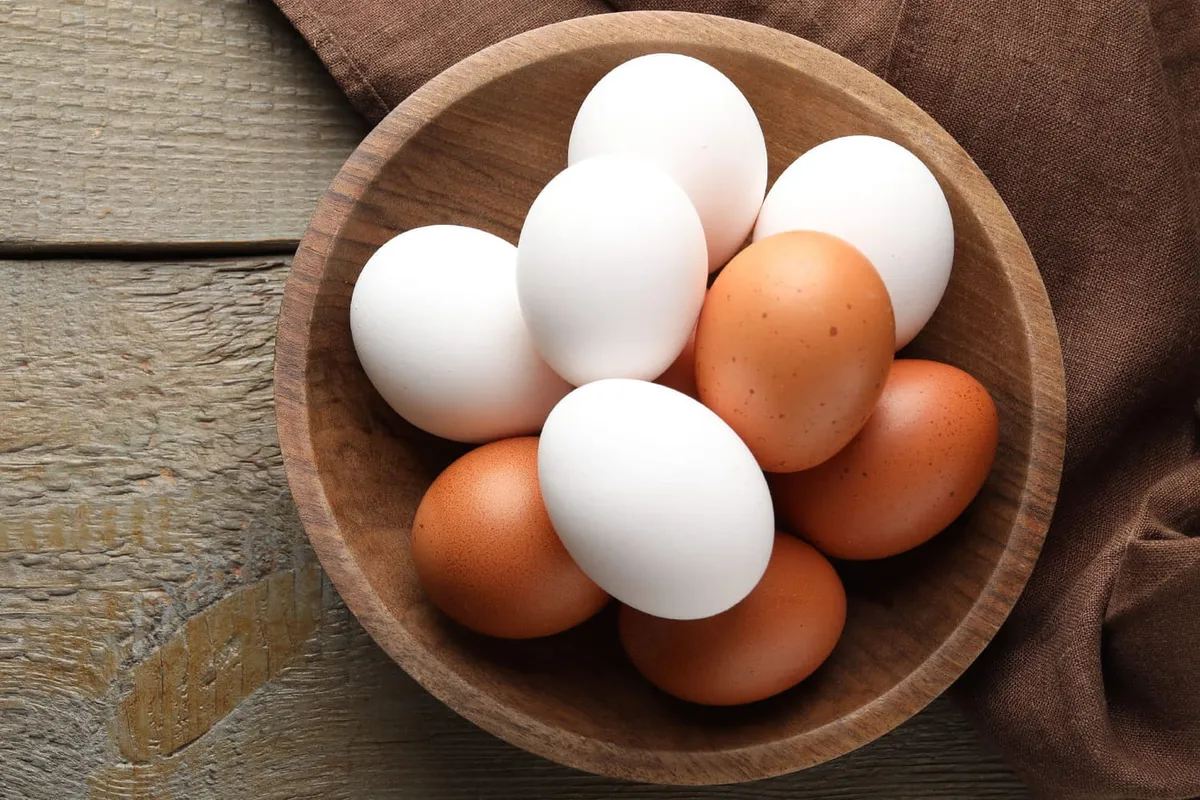 Varför har vissa ägg olika skalfärg?