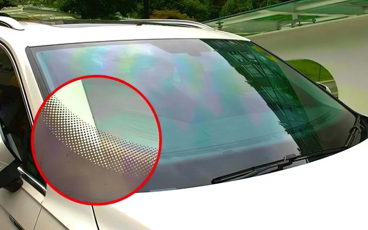 Varför finns de svarta prickarna på bilrutan?