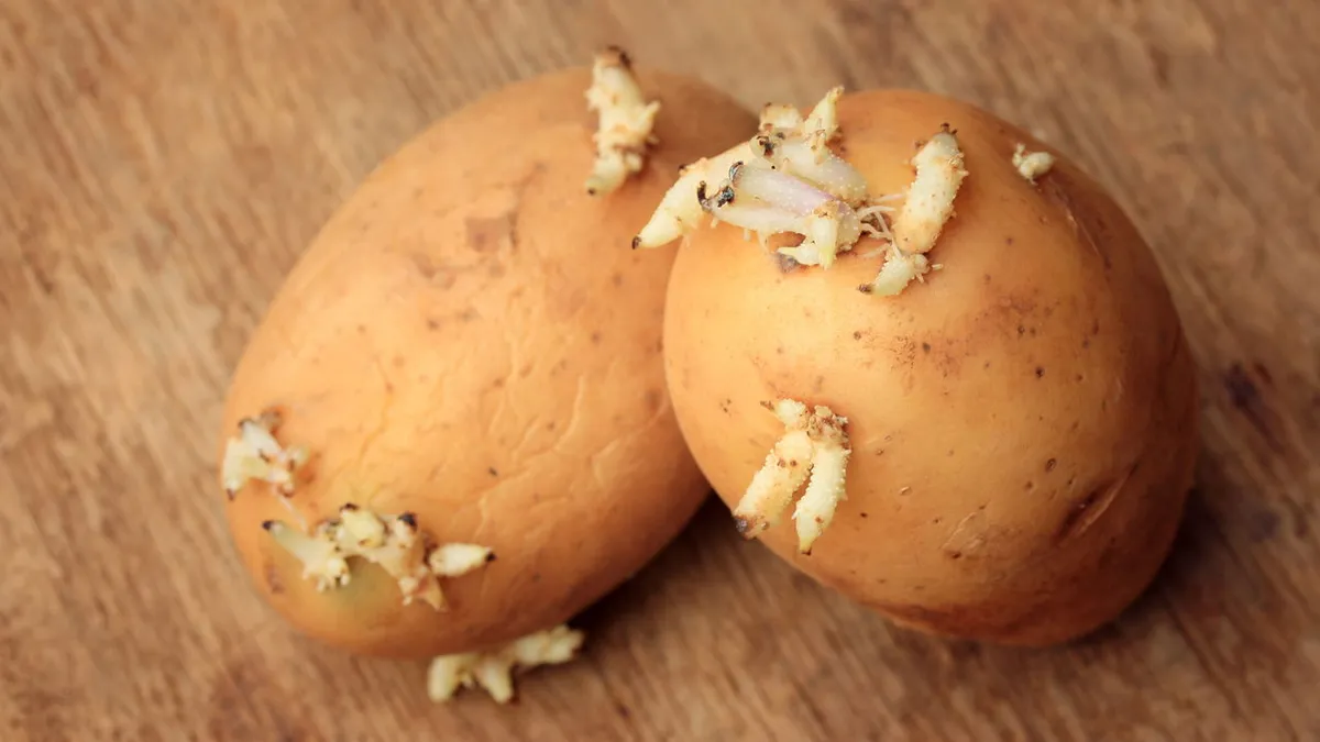 Ett nytt sätt att hålla potatis fräsch längre