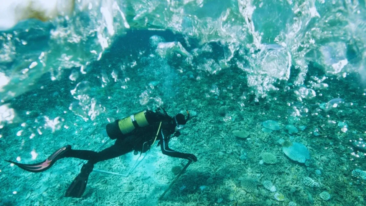 Alexandrias legendariska fyr reser sig igen